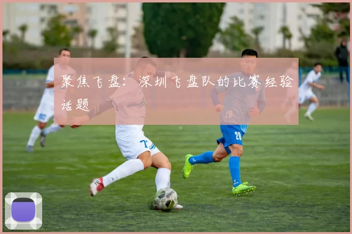 聚焦飞盘：深圳飞盘队的比赛经验话题