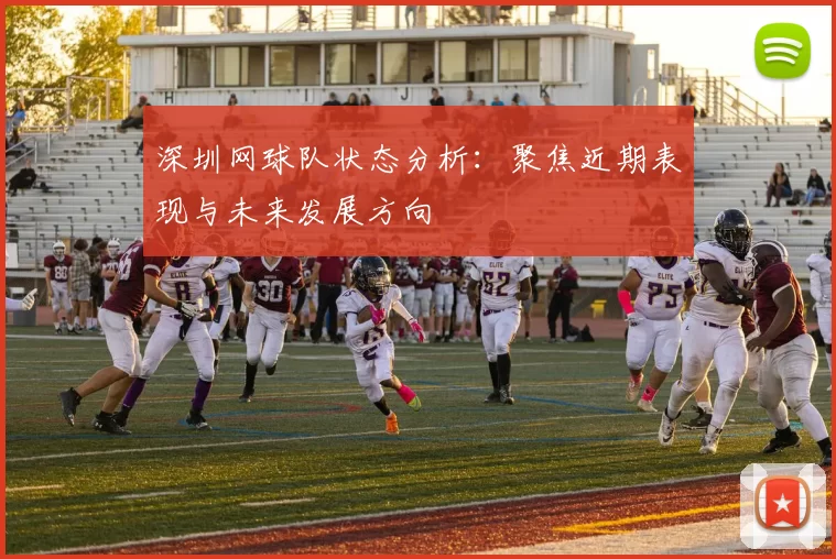 深圳网球队状态分析：聚焦近期表现与未来发展方向