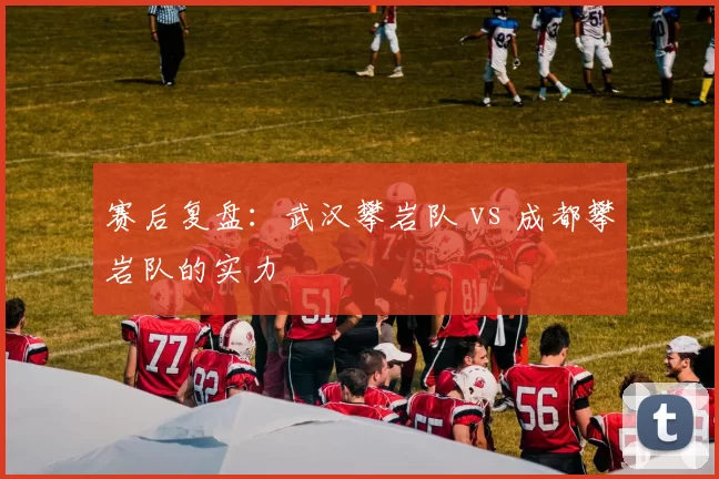 赛后复盘：武汉攀岩队 vs 成都攀岩队的实力