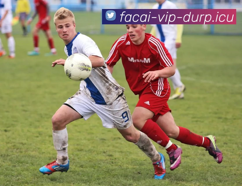 乐竞体育APP 封面图